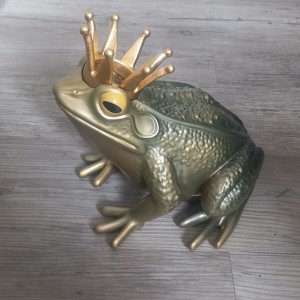 Beeld Kikkerkoning