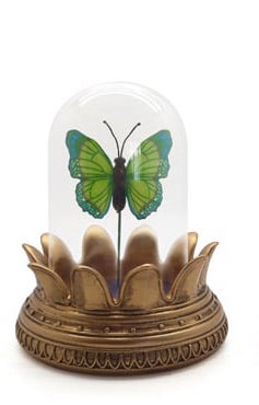 Symbolica Vlinder groen