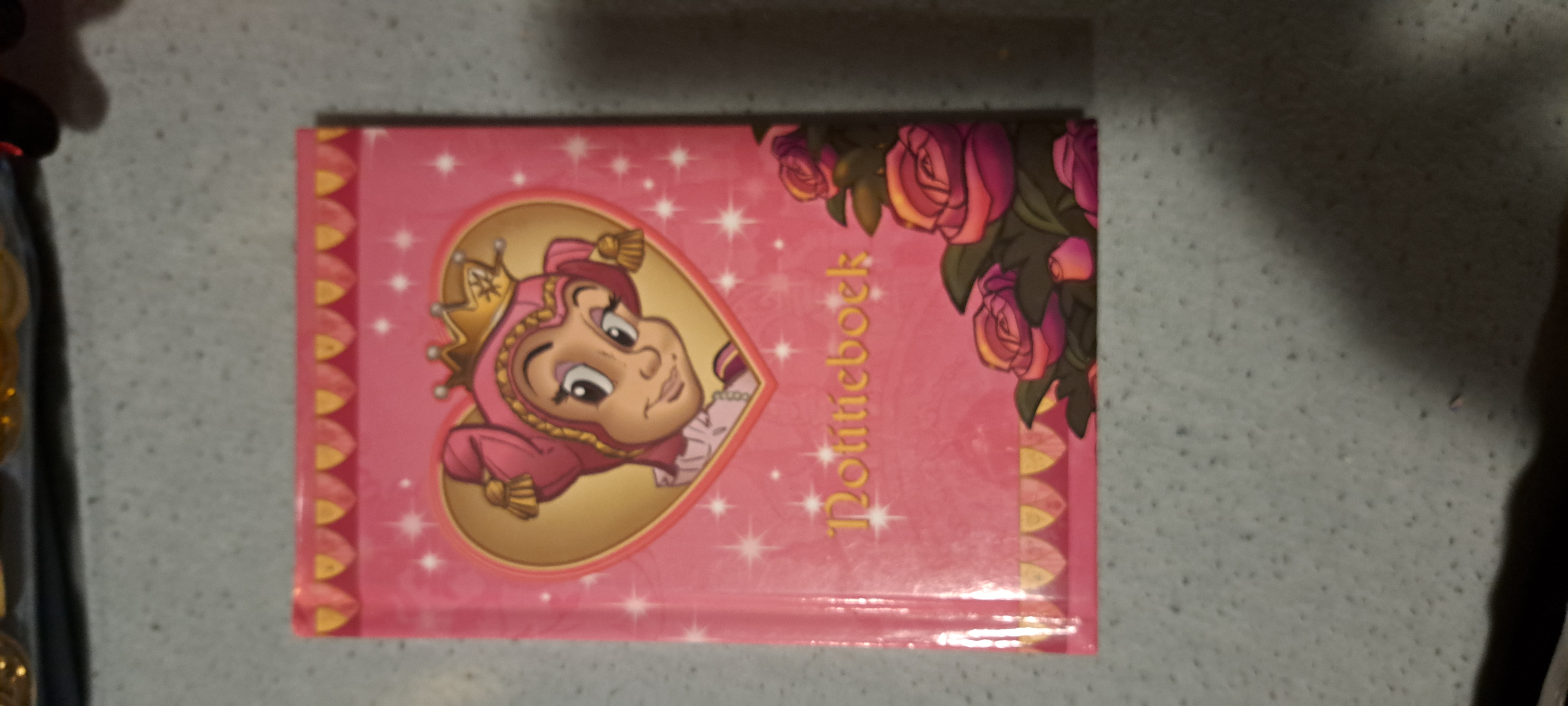 Notitieboek Pardijntje