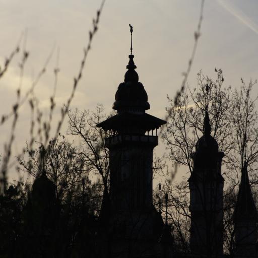 InDenHoornDesOvervloeds